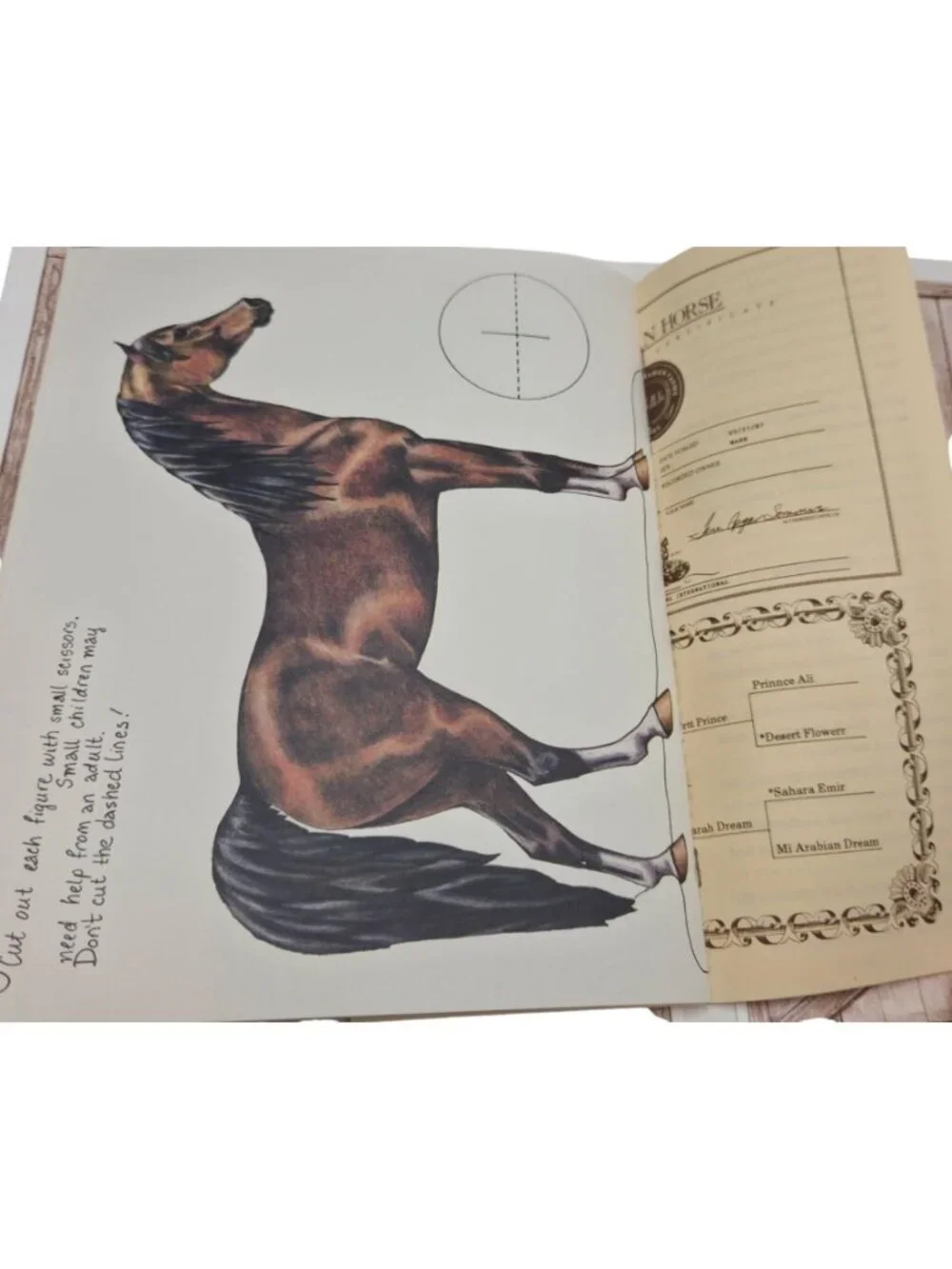 First Edition My First Horse Paper Doll Kit Uncut Madam Khemosa Arabian Stable